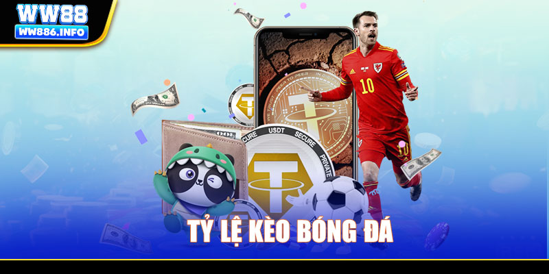 Tỷ lệ kèo bóng đá - Những loại kèo cược xanh chín WW88